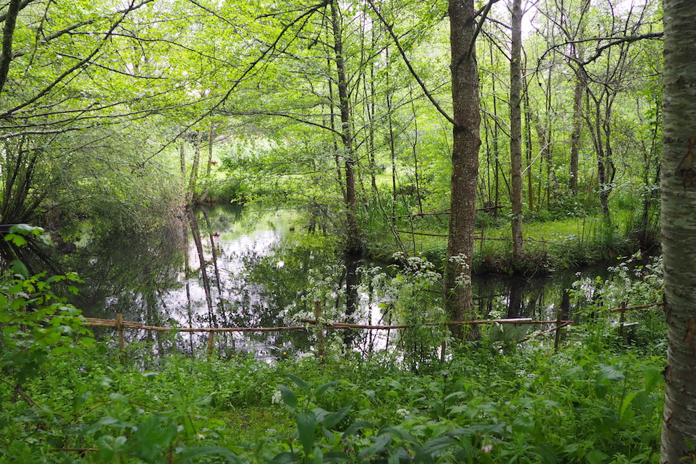 etang hameau de la brousse